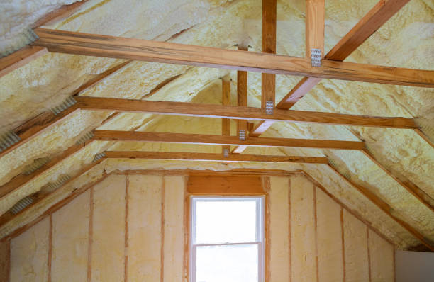 Best Insulation Maintenance and Repair in Wood Dale, IL