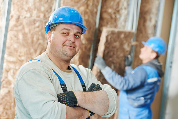 Best Insulation Installation Services in Wood Dale, IL